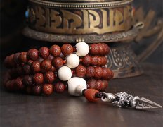 �������۹�������ȥ�޽�