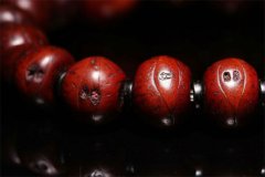 <b>�������� �����ѡ�����ʵ������������</b>