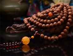 �������� �й�����������ᱣ������