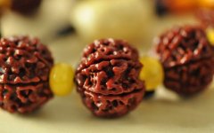 ������� ��������Ჴ������������غ�