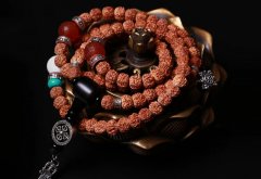 �������ڿ������Ƣ���� �Ű꣺��������