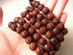 ������� ������������������̬