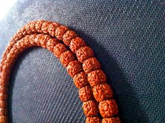 ������� ��������С�����ն���������