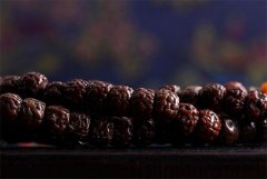 ������� ���������̼���������������