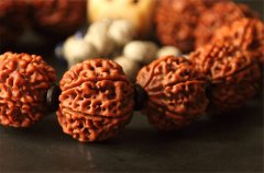 ���ٲؼҽ������Ӵ�������