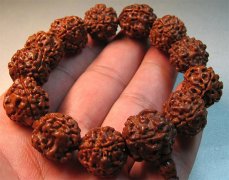 ������� ��Ӧ�ô����ٰ�������������ִ���