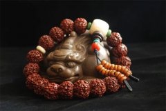 ������� �úõ�����������ΪʲôҪ������