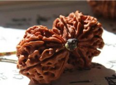 <b>������� ��������������Щ����</b>