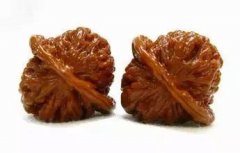 ������ӱ����Ͳ��Ǻܺ�