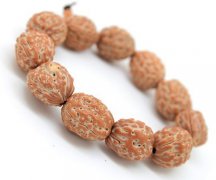 ������ë���ɲ��Ѿ��������������