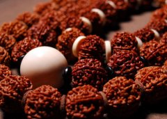 ��ô���������Ὺ�Ѻ�����Ӧ����Щʲô�أ�1���Ƚ��İ�������������ˢ�ɾ���2��׼����һƿ����˪