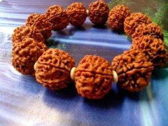 ��ʵ����������Ǽ���