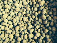 �������� ����ͼ�Ľ��������������������