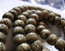 ���±������зḻ��֬��