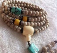 �������� ������������ �������ֻΪ�����