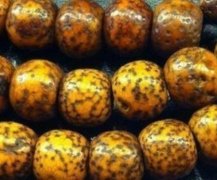 ?�������������������������� ��Ȼ�������İ����Ϳ�Ƭ