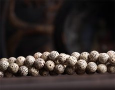 ���������кܶ��̼�Ϊ�������ü۸�