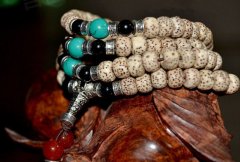 �������� �����������ѡ����������