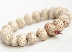 ���Ǵ󲿷ֵ���Ҷ���֪��ʲô��������������������õ�