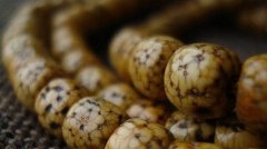  ������������ӵĽ����ܶ�