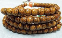 ���漸���Ӧ���������������ִ���Ϣһ����