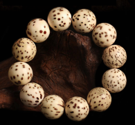 �������� ���������ѡ���ڵ�ǧ�����᣿����ǧ������Ľ���