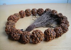 �������� ��������������ʲô����˵˵��������ӵ����ú�����