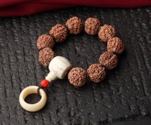 ������������������(�ɼҵĻ��ᱣ�Ӽ�ͥ�İ�����ƽ��) ���꣺���������к���Ҫ�İ���