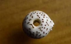 ����Щ�ߴ�ʵ���ϲ�����׼