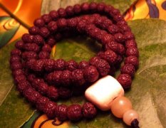 �������� ��������������ô�̣� �����������ô�����ѣ�