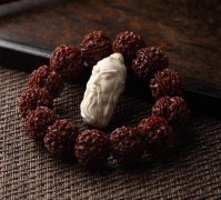 ��Ȼ�ͺ�������ɶϳ���