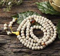 �������� ���������������֪���� ������������ô����