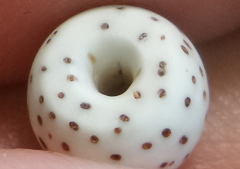 �������� ������������������ʲô�����������ִ������ֲ�