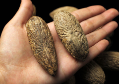  ǧ�����ᱣ����������Щ��ǧ��������ص���Ȼ����