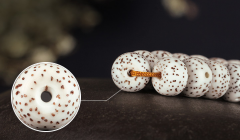 �������� ����������������ͳ����������᾿����ʲô����