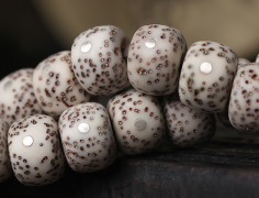 �������� ��������֪ʶ��˳������������Ư���������������