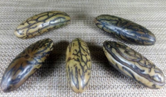 �������� ����ǧ��������Դ��ȱ �����ѡ���ʵ�ǧ�����᣿