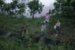 ��ɽ���̿����𻨡�