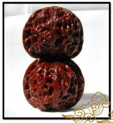 ��������еġ��Ĵ����ˡ�