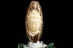 Ҫ������ѡ��״���ȵ�ǧ������