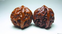 �����������Ƕ����ѧ����