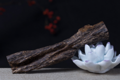 �㲻�ò�֪������������