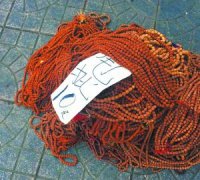 һ������ͨ���Ա�֮��Ż�����