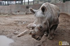 ȫ���ʣ�����ֻ���ǰ�Ϭţ