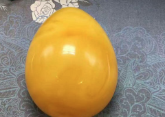 �������������ɣ�Ͷ�˾������ֻ������