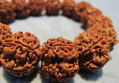 �����Ժ������������ͨ�紦��Լһ���ʱ�����