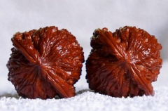 ������ҵļ۸�������Щԭ������ģ��ɱ�����Ŷ