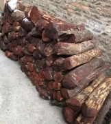 �ܶ඼�컵������ ���ദ��