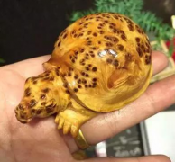 ѧѧ��μ����°ص���������ʵ��Ŷ��