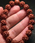 ����������������ɫ�ĺ˵�